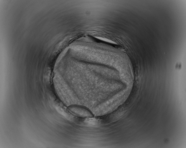 X0000115380231200911241310