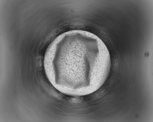 X0000115380232200911241310