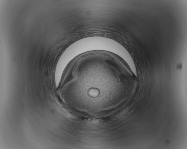 X0000115380235200911241310