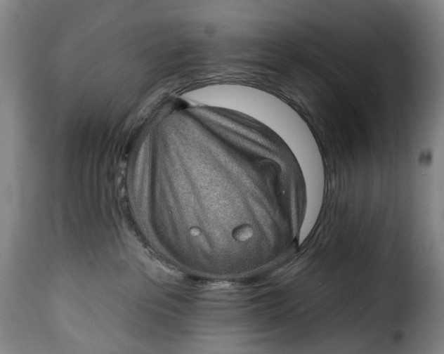 X0000115380237200911241310