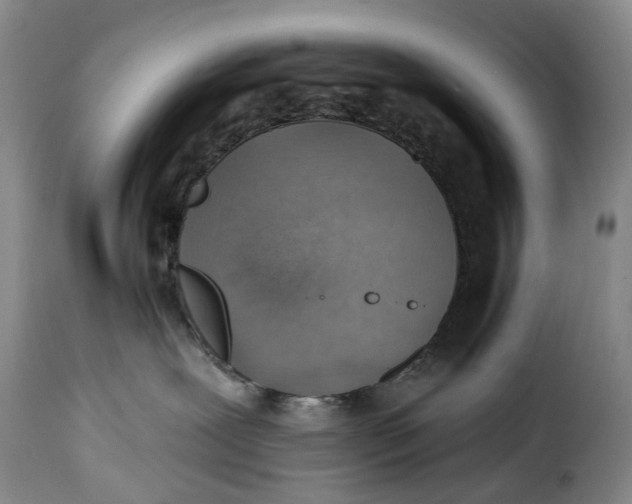 X0000115380239200911241310