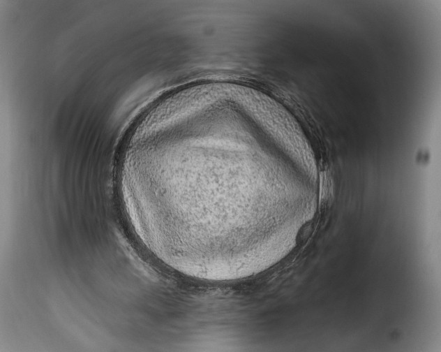 X0000115380243200911241310