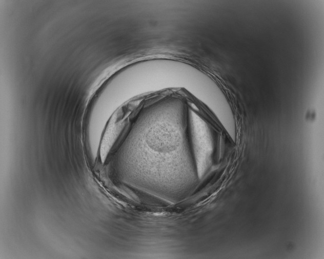 X0000115380244200911241310