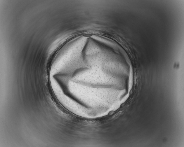 X0000115380245200911241310