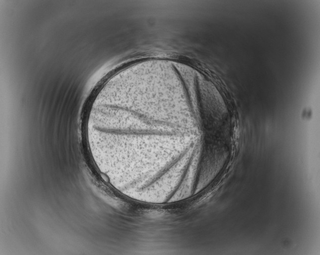 X0000115380246200911241310