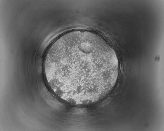 X0000115380247200911241310