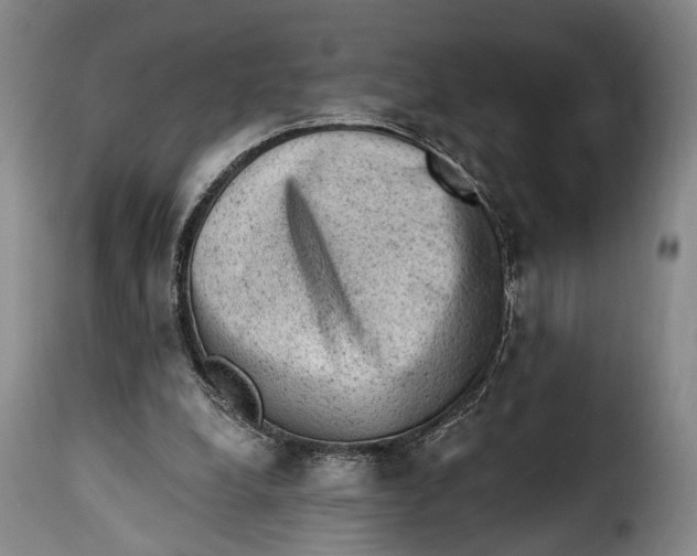 X0000115380248200911241310