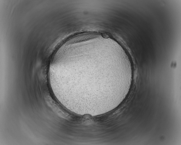 X0000115380249200911241310