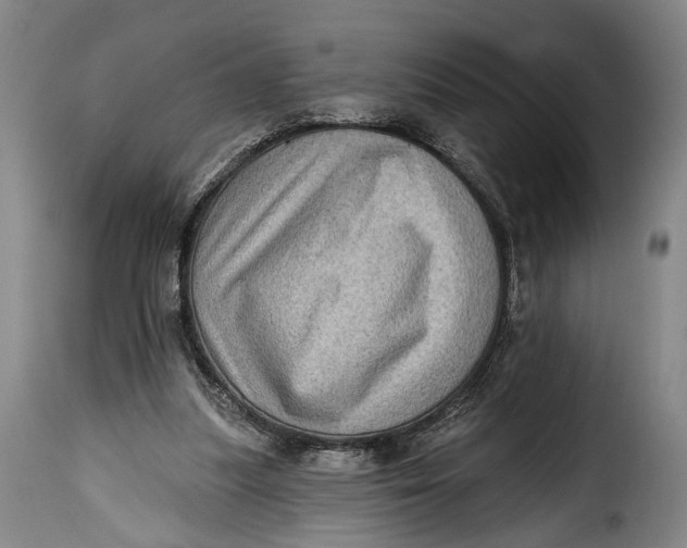 X0000115380251200911241310