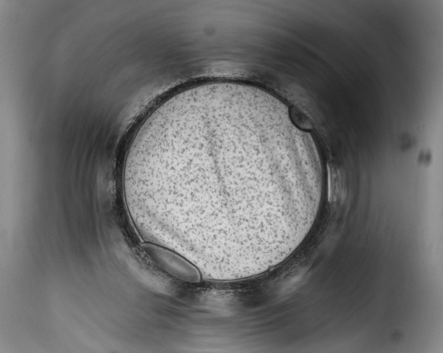 X0000115380252200911241310