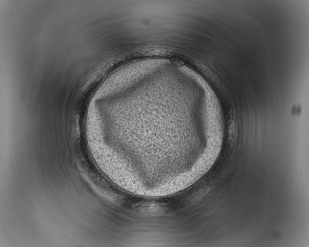 X0000115380254200911241310