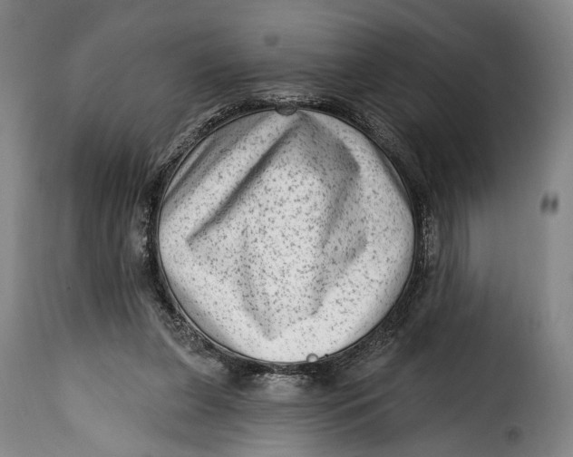 X0000115380255200911241310