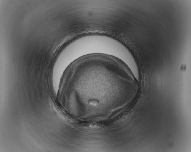 X0000115380256200911241310