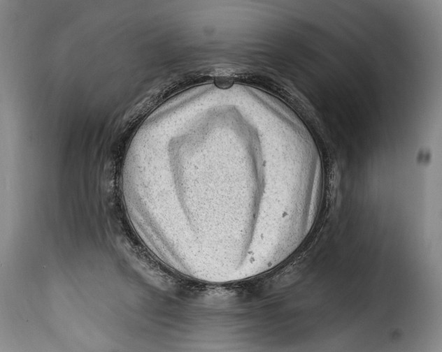 X0000115380257200911241310