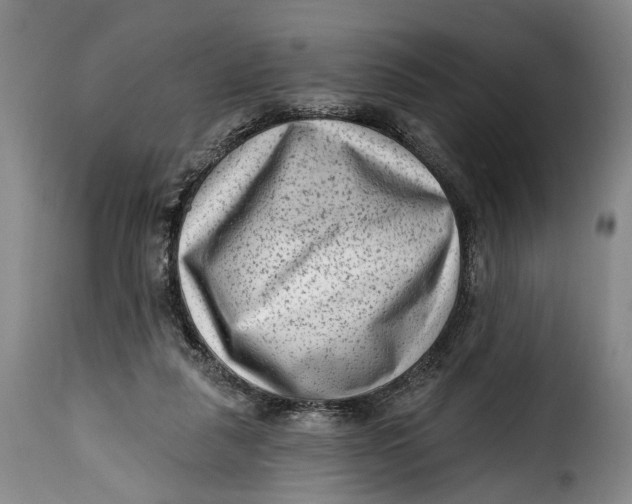 X0000115380259200911241310