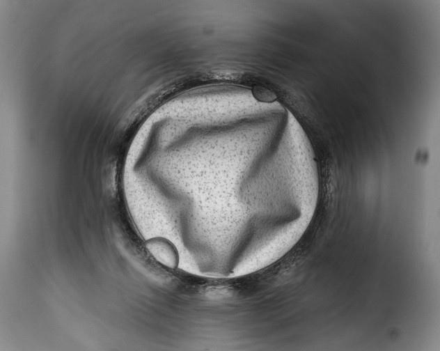 X0000115380262200911241310