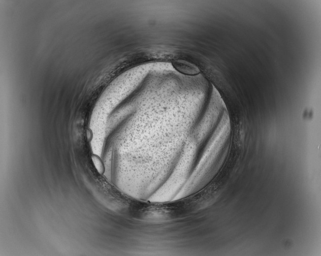 X0000115380263200911241310