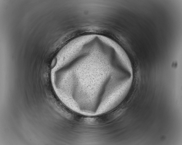 X0000115380265200911241310