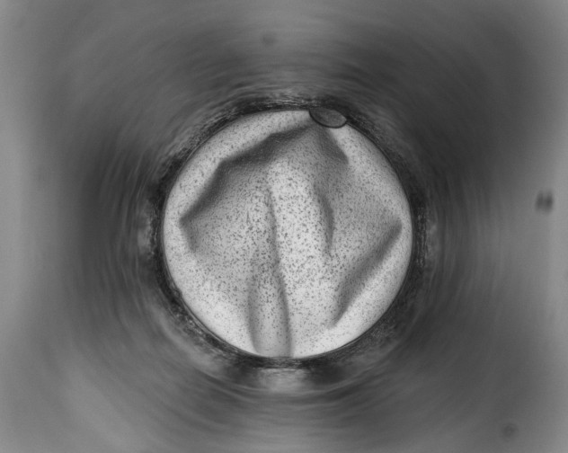 X0000115380266200911241310