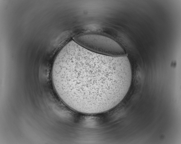 X0000115380268200911241310