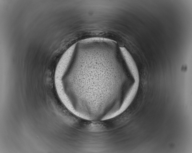 X0000115380270200911241310