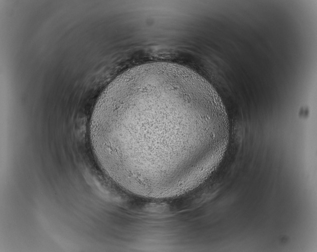 X0000115380271200911241310