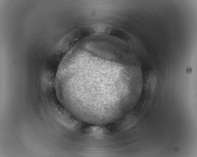 X0000115380272200911241310