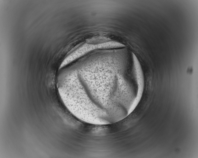 X0000115380274200911241310