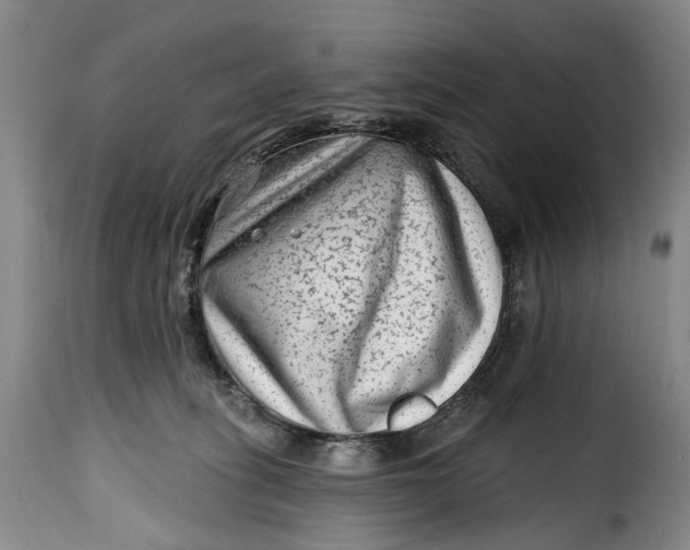 X0000115380275200911241310