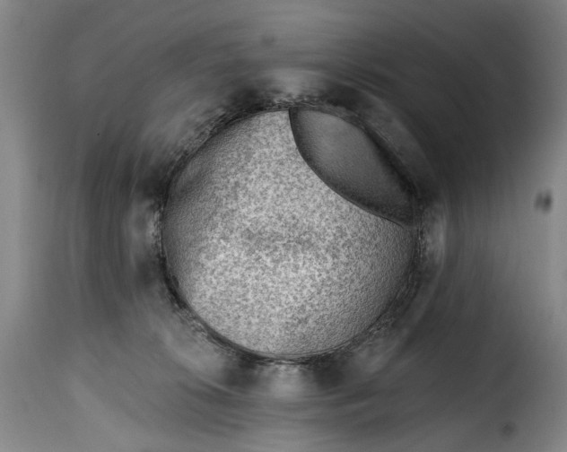 X0000115380276200911241310