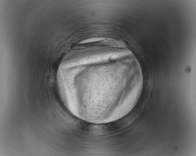 X0000115380277200911241310