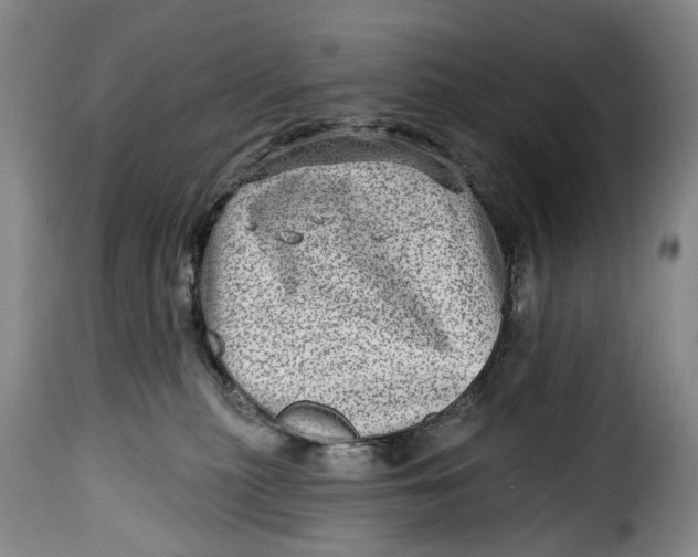 X0000115380279200911241310