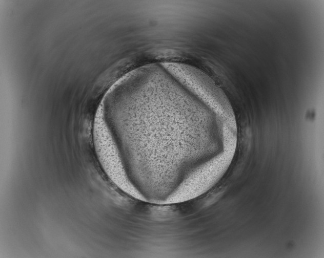 X0000115380281200911241310