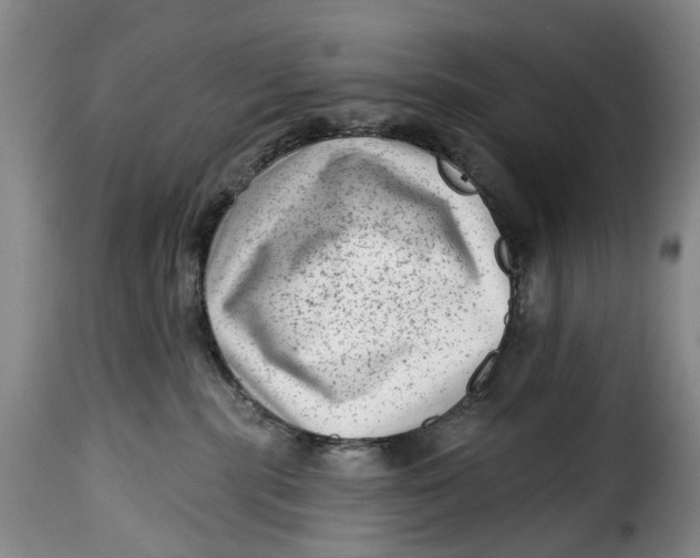 X0000115380283200911241310