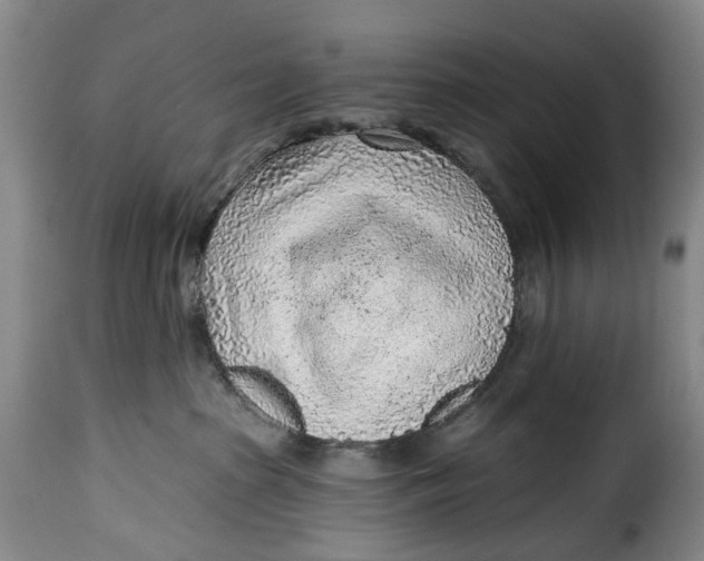 X0000115380285200911241310