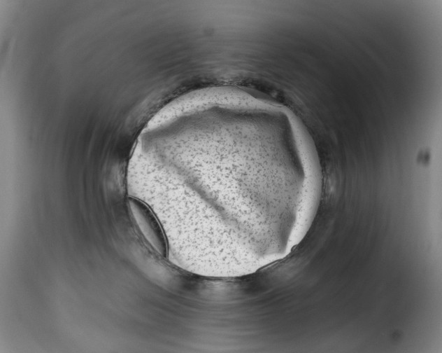 X0000115380286200911241310