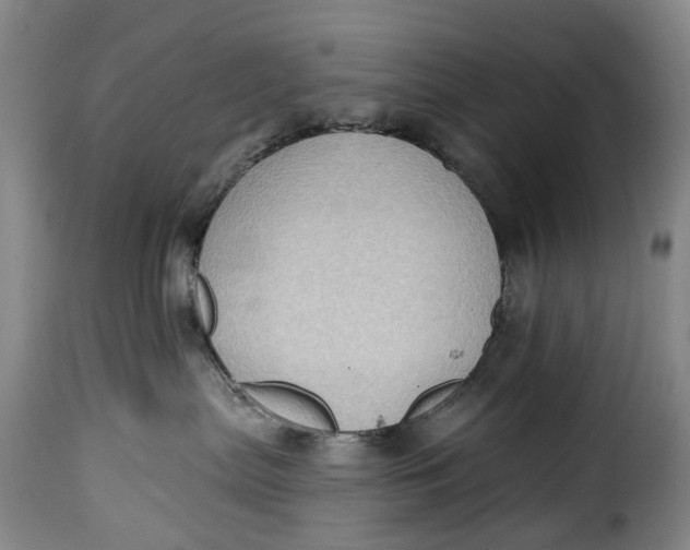 X0000115380287200911241310