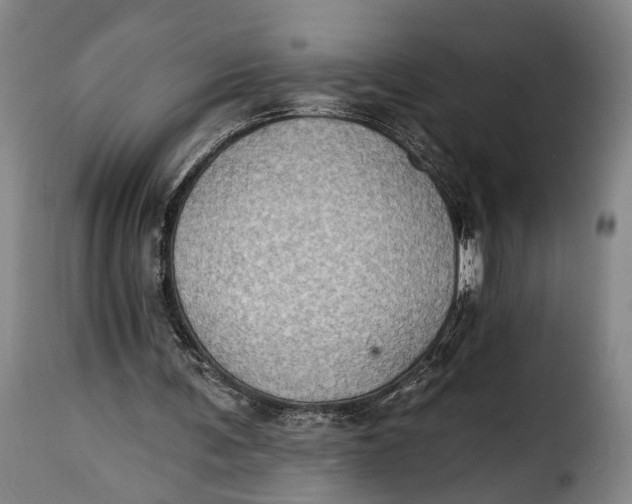 X0000115380291200911241310