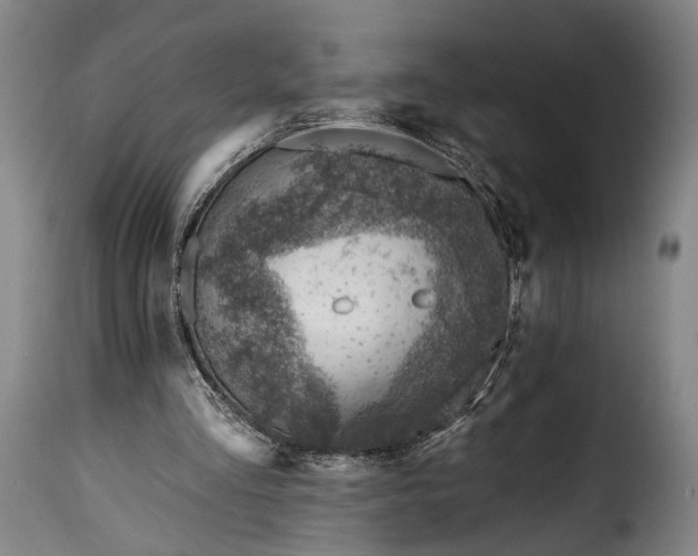 X0000115380293200911241310