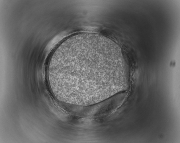 X0000115380294200911241310