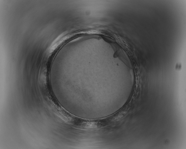 X0000115380295200911241309