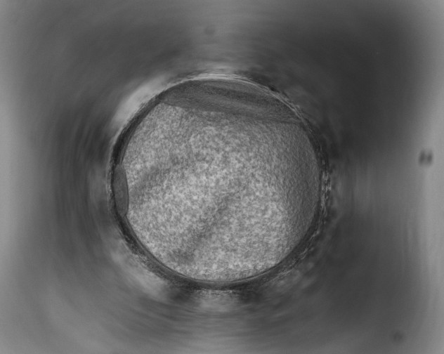 X0000115380296200911241309