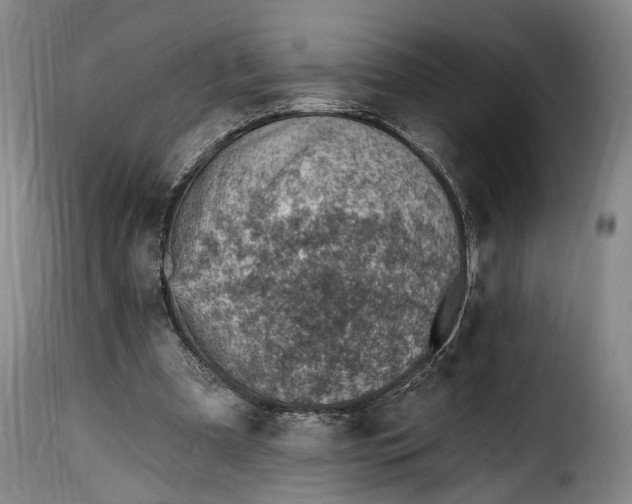 X0000115380297200911241309