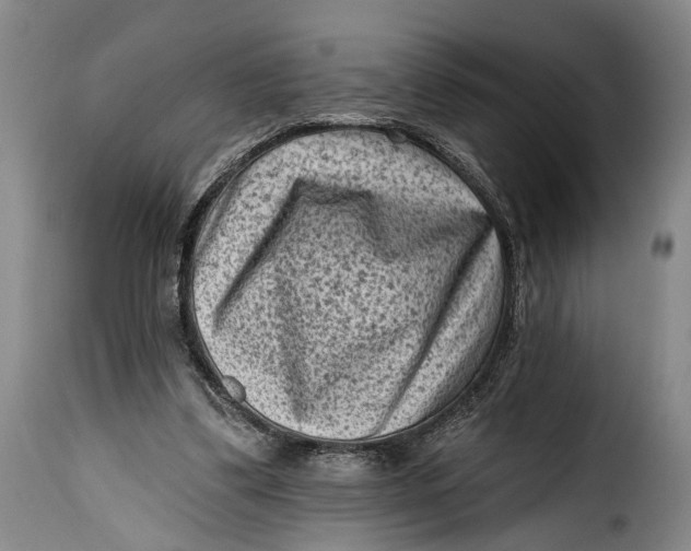 X0000115380299200911241309