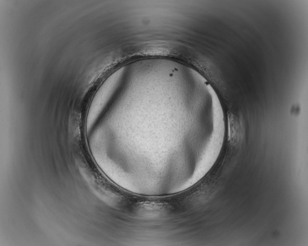 X0000115380300200911241309