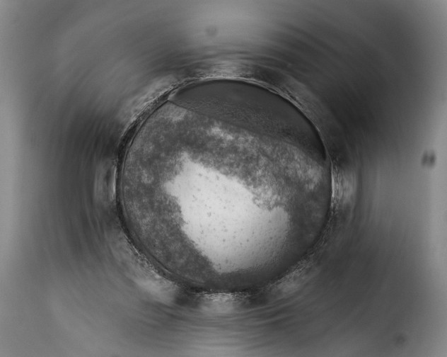 X0000115380301200911241309