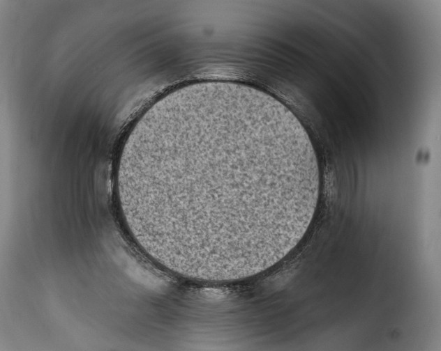 X0000115380302200911241309