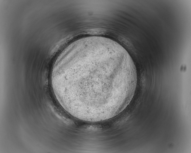 X0000115380303200911241309