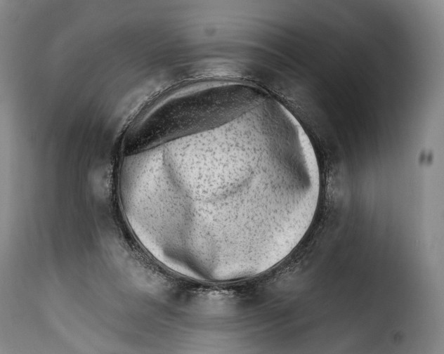 X0000115380304200911241309