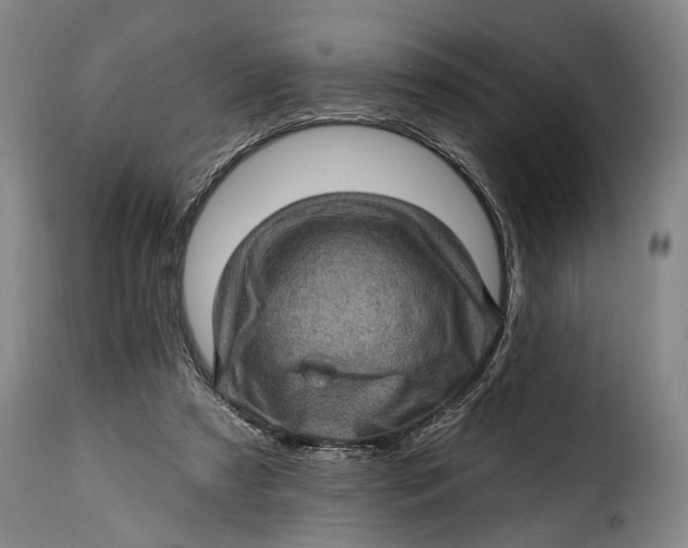 X0000115380305200911241309